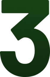 3 3
